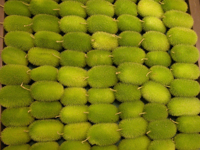 Fruta verde